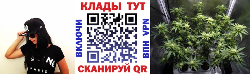 Виды наркоты Любань Марихуана ГАШИШ