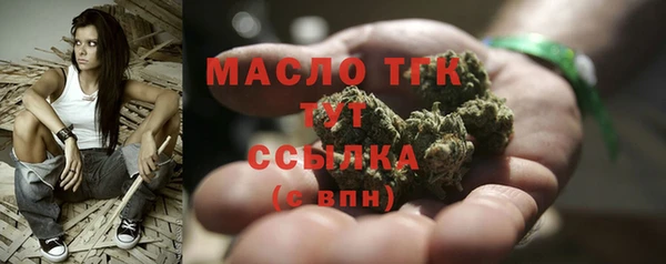 прущие грибы Переславль-Залесский