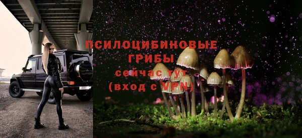 амф Арсеньев