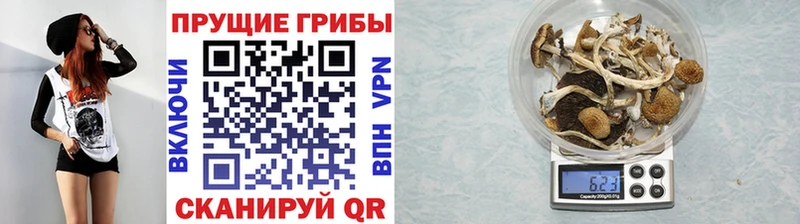 Псилоцибиновые грибы мицелий  наркотики  ОМГ ОМГ рабочий сайт  Любань 